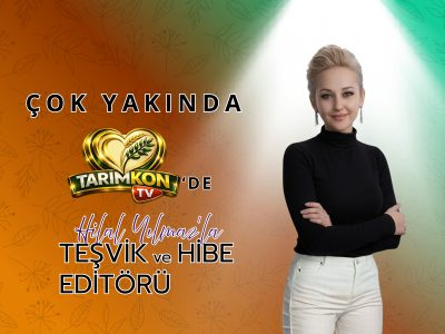 Teşvik ve Hibe Editörü