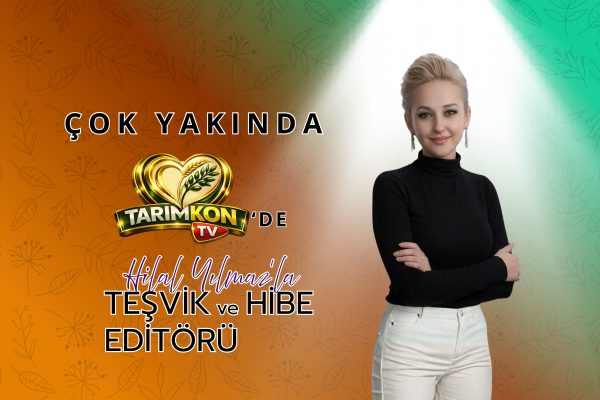 TEŞVİK ve HİBE EDİTÖRÜ